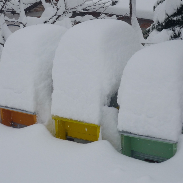 Quando l’inverno si fa duro