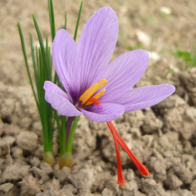 ottobre e novembre